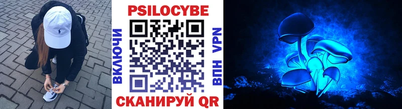 Купить  Дыгулыбгей  Псилоцибиновые грибы MAGIC MUSHROOMS 