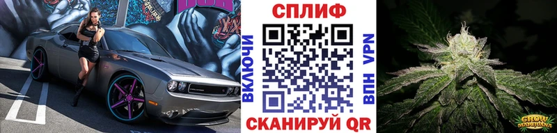 Каннабис White Widow  Купить закладки  Дыгулыбгей 